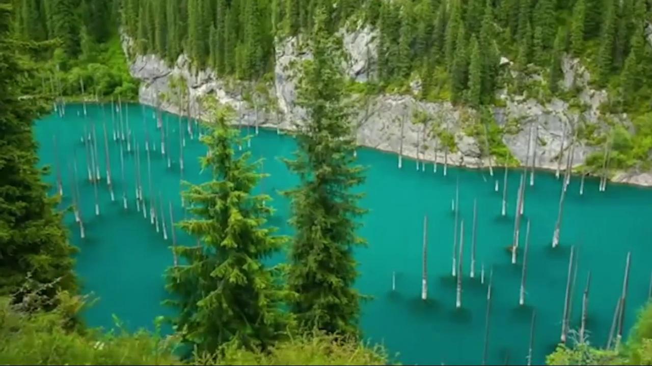 Partial Curl Ups Exercise